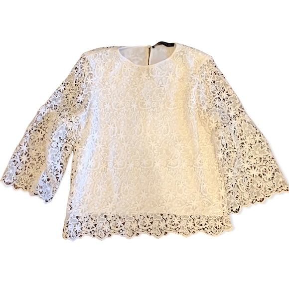 ZARA | Lace Flared Sleeve Top - Picture 12 of 12